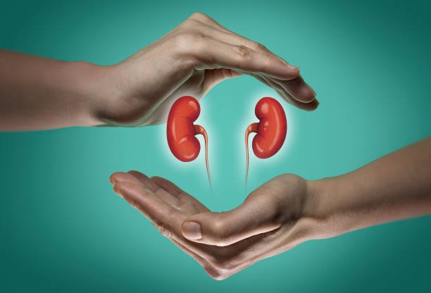 diet-for-kidney-disease-renaldialysis
