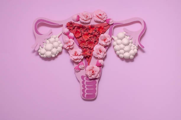 dietplan-for-pcos